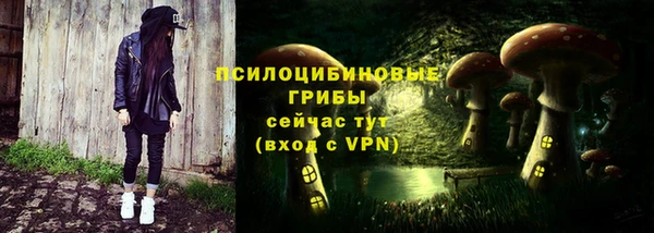 стафф Армянск